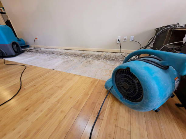 Professional Burst Pipe Water Damage technician working in Fall City, WA